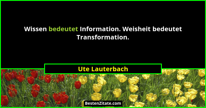Wissen bedeutet Information. Weisheit bedeutet Transformation.... - Ute Lauterbach