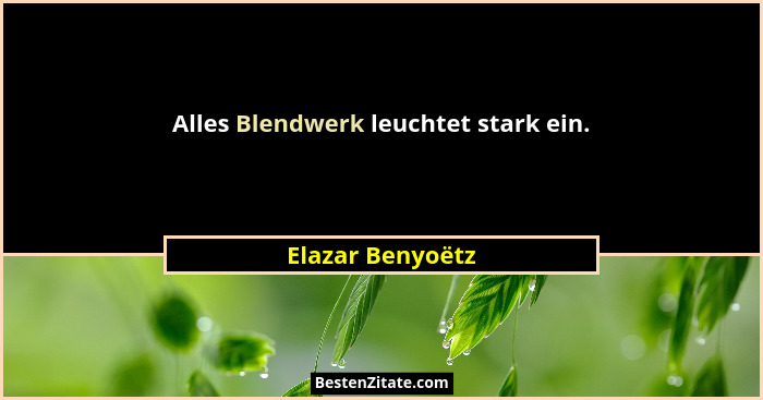 Alles Blendwerk leuchtet stark ein.... - Elazar Benyoëtz