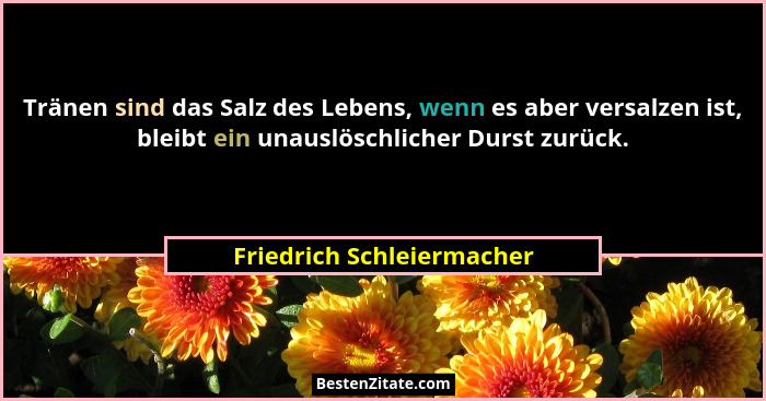 Tränen sind das Salz des Lebens, wenn es aber versalzen ist, bleibt ein unauslöschlicher Durst zurück.... - Friedrich Schleiermacher