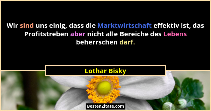 Wir sind uns einig, dass die Marktwirtschaft effektiv ist, das Profitstreben aber nicht alle Bereiche des Lebens beherrschen darf.... - Lothar Bisky