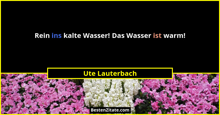 Rein ins kalte Wasser! Das Wasser ist warm!... - Ute Lauterbach