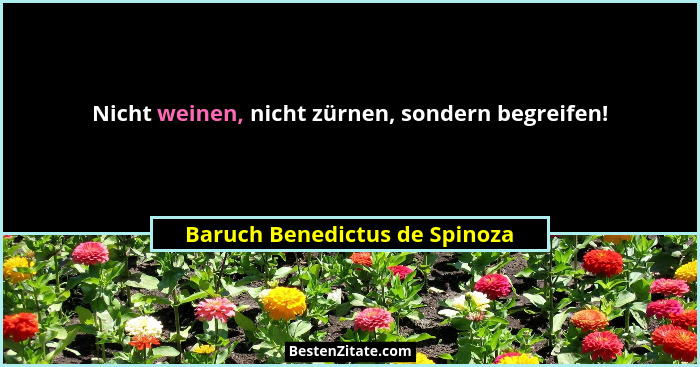 Nicht weinen, nicht zürnen, sondern begreifen!... - Baruch Benedictus de Spinoza