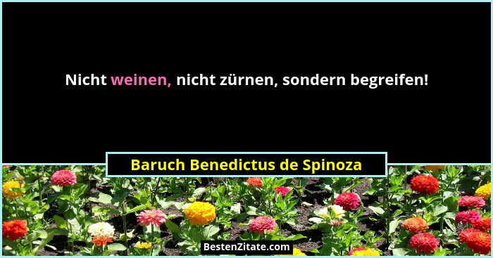 Nicht weinen, nicht zürnen, sondern begreifen!... - Baruch Benedictus de Spinoza