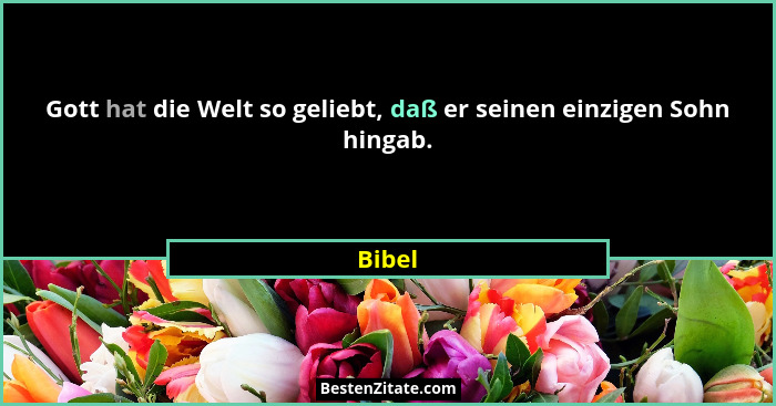 Gott hat die Welt so geliebt, daß er seinen einzigen Sohn hingab.... - Bibel