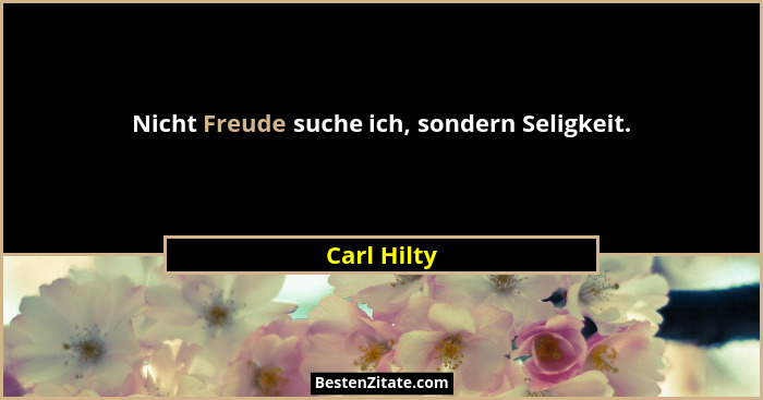 Nicht Freude suche ich, sondern Seligkeit.... - Carl Hilty