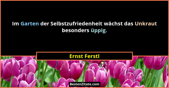 Im Garten der Selbstzufriedenheit wächst das Unkraut besonders üppig.... - Ernst Ferstl