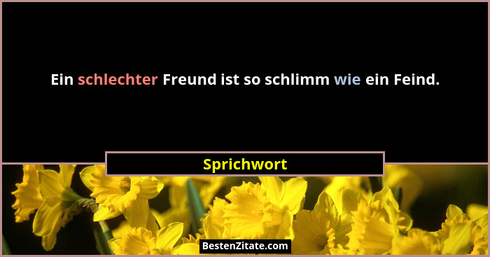 Ein schlechter Freund ist so schlimm wie ein Feind.... - Sprichwort