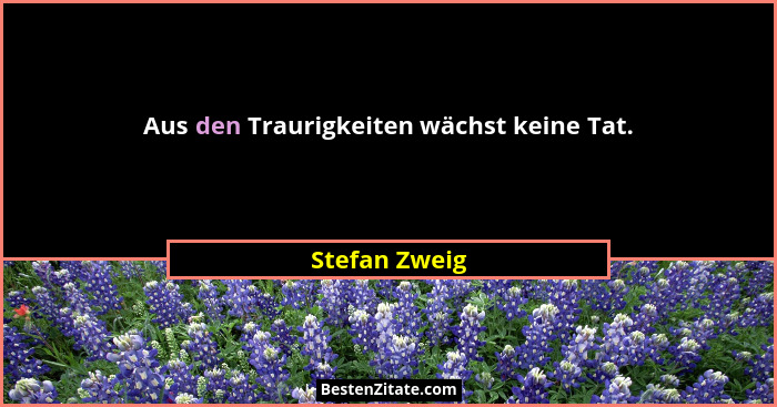 Aus den Traurigkeiten wächst keine Tat.... - Stefan Zweig