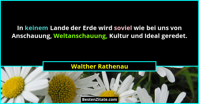 In keinem Lande der Erde wird soviel wie bei uns von Anschauung, Weltanschauung, Kultur und Ideal geredet.... - Walther Rathenau