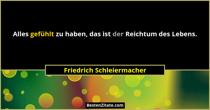 Alles gefühlt zu haben, das ist der Reichtum des Lebens.... - Friedrich Schleiermacher