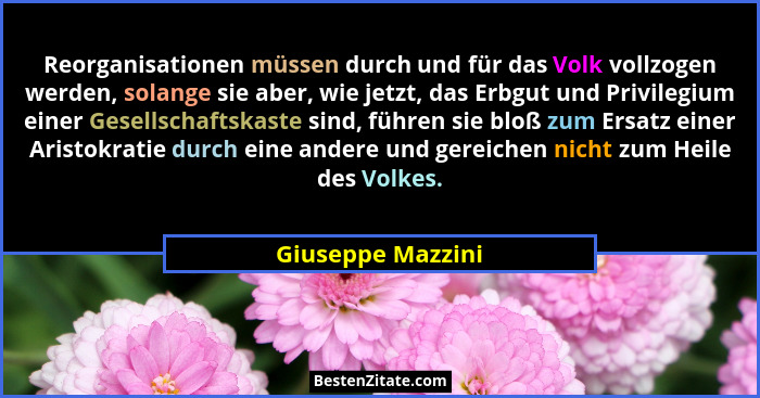 Reorganisationen müssen durch und für das Volk vollzogen werden, solange sie aber, wie jetzt, das Erbgut und Privilegium einer Gese... - Giuseppe Mazzini