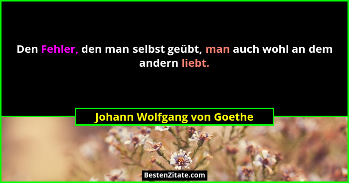 Den Fehler, den man selbst geübt, man auch wohl an dem andern liebt.... - Johann Wolfgang von Goethe