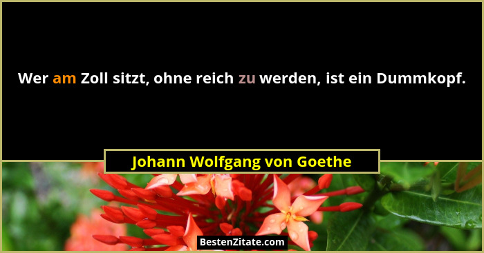 Wer am Zoll sitzt, ohne reich zu werden, ist ein Dummkopf.... - Johann Wolfgang von Goethe