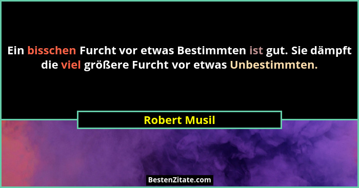 Ein bisschen Furcht vor etwas Bestimmten ist gut. Sie dämpft die viel größere Furcht vor etwas Unbestimmten.... - Robert Musil