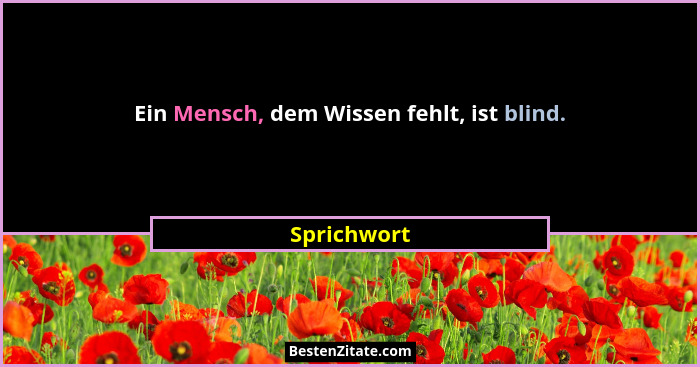 Ein Mensch, dem Wissen fehlt, ist blind.... - Sprichwort