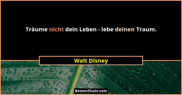 Träume nicht dein Leben - lebe deinen Traum.... - Walt Disney