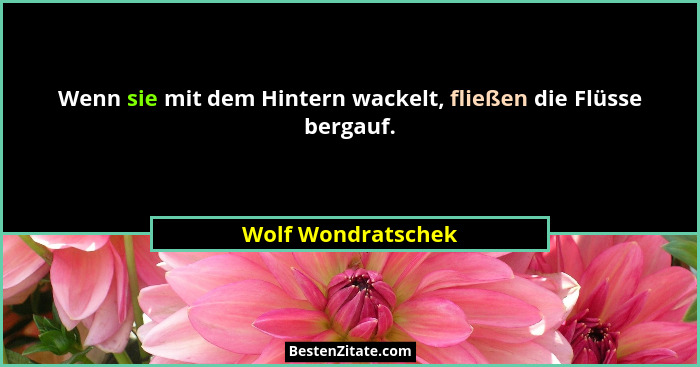 Wenn sie mit dem Hintern wackelt, fließen die Flüsse bergauf.... - Wolf Wondratschek