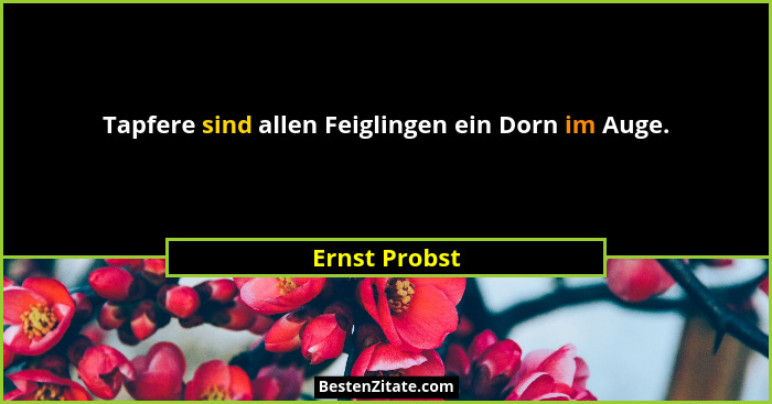 Tapfere sind allen Feiglingen ein Dorn im Auge.... - Ernst Probst