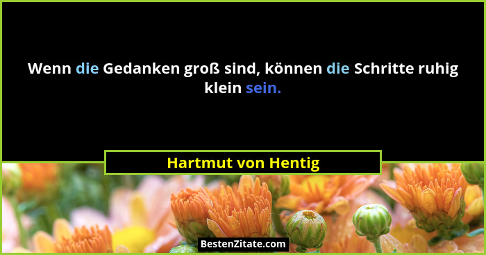Wenn die Gedanken groß sind, können die Schritte ruhig klein sein.... - Hartmut von Hentig