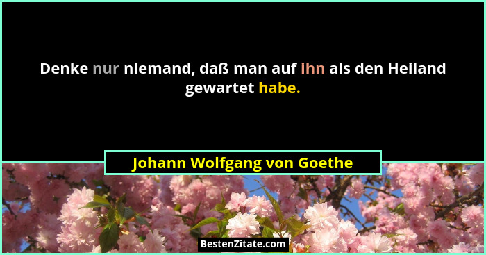 Denke nur niemand, daß man auf ihn als den Heiland gewartet habe.... - Johann Wolfgang von Goethe