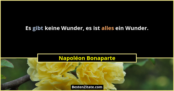 Es gibt keine Wunder, es ist alles ein Wunder.... - Napoléon Bonaparte