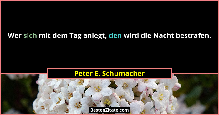 Wer sich mit dem Tag anlegt, den wird die Nacht bestrafen.... - Peter E. Schumacher