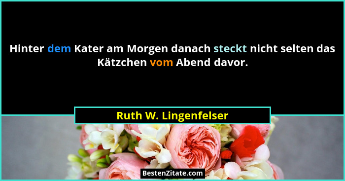 Hinter dem Kater am Morgen danach steckt nicht selten das Kätzchen vom Abend davor.... - Ruth W. Lingenfelser