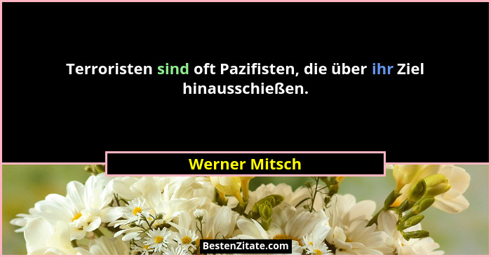 Terroristen sind oft Pazifisten, die über ihr Ziel hinausschießen.... - Werner Mitsch