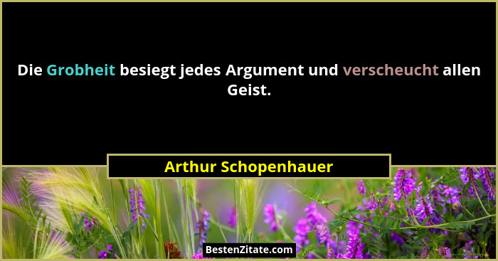 Die Grobheit besiegt jedes Argument und verscheucht allen Geist.... - Arthur Schopenhauer