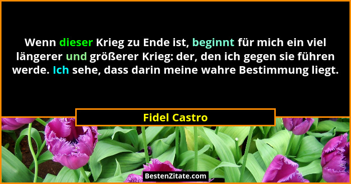 Wenn dieser Krieg zu Ende ist, beginnt für mich ein viel längerer und größerer Krieg: der, den ich gegen sie führen werde. Ich sehe, da... - Fidel Castro