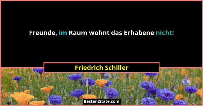 Freunde, im Raum wohnt das Erhabene nicht!... - Friedrich Schiller