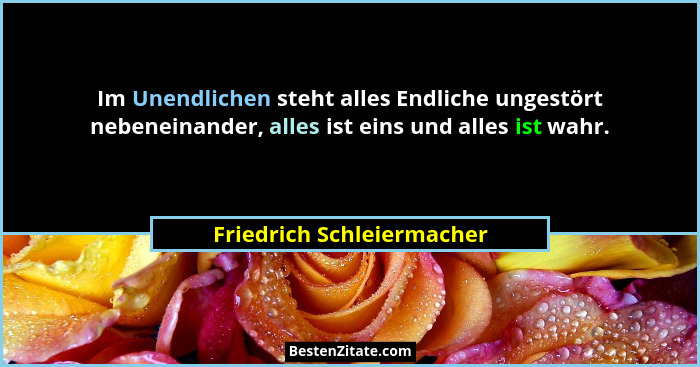 Im Unendlichen steht alles Endliche ungestört nebeneinander, alles ist eins und alles ist wahr.... - Friedrich Schleiermacher