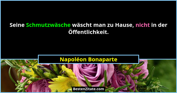 Seine Schmutzwäsche wäscht man zu Hause, nicht in der Öffentlichkeit.... - Napoléon Bonaparte