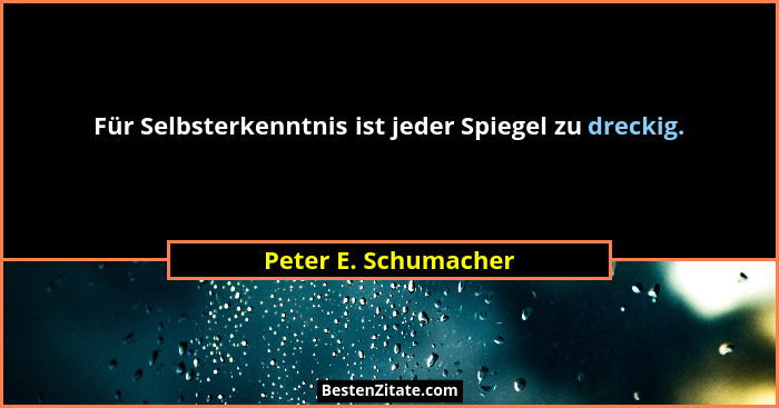 Für Selbsterkenntnis ist jeder Spiegel zu dreckig.... - Peter E. Schumacher