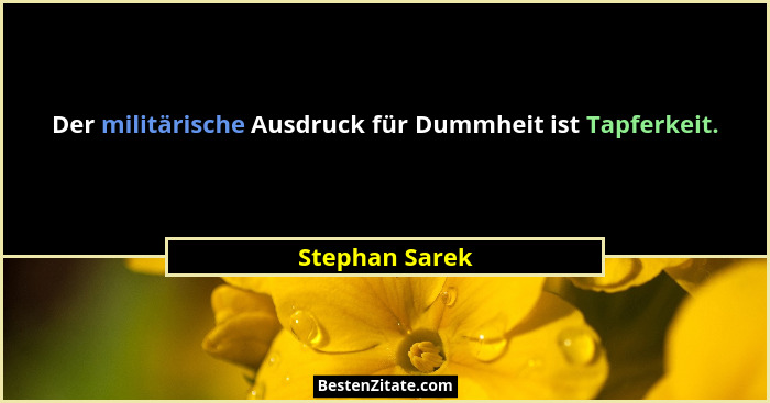 Der militärische Ausdruck für Dummheit ist Tapferkeit.... - Stephan Sarek