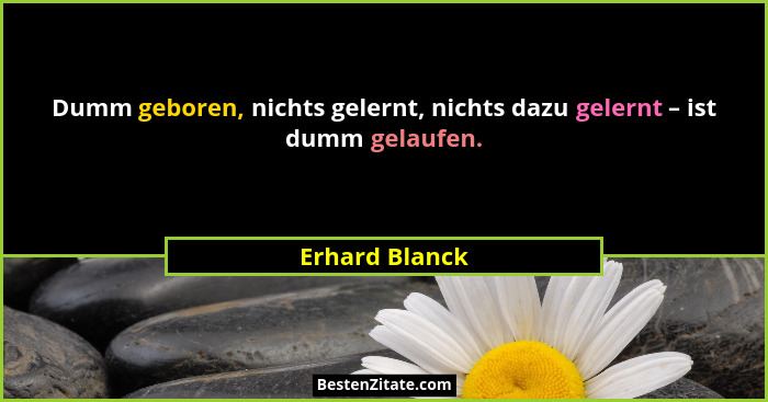 Dumm geboren, nichts gelernt, nichts dazu gelernt – ist dumm gelaufen.... - Erhard Blanck