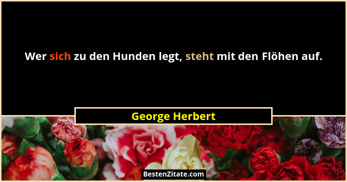 Wer sich zu den Hunden legt, steht mit den Flöhen auf.... - George Herbert