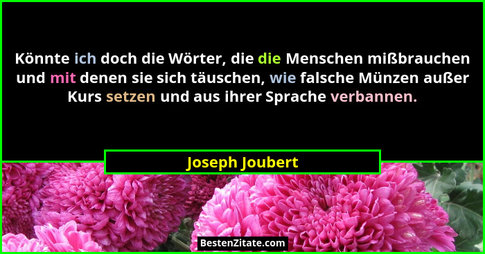 Könnte ich doch die Wörter, die die Menschen mißbrauchen und mit denen sie sich täuschen, wie falsche Münzen außer Kurs setzen und au... - Joseph Joubert