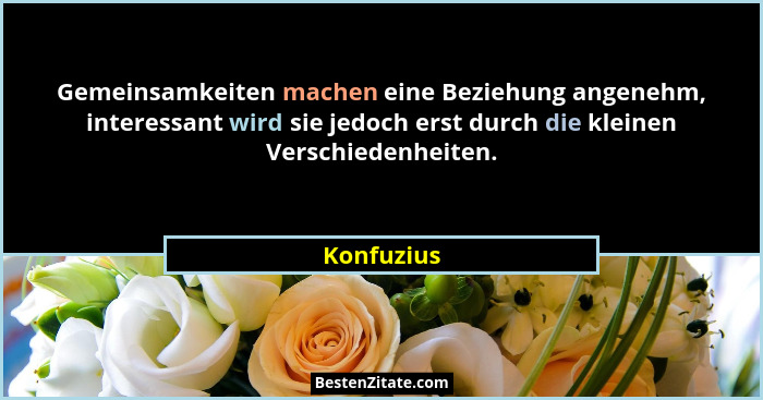 Gemeinsamkeiten machen eine Beziehung angenehm, interessant wird sie jedoch erst durch die kleinen Verschiedenheiten.... - Konfuzius