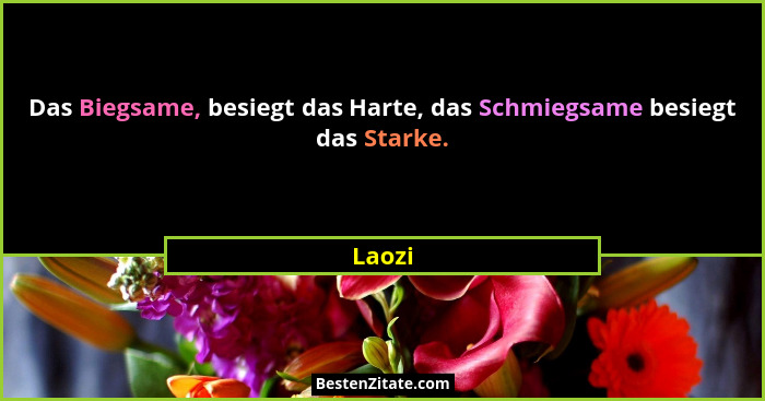Das Biegsame, besiegt das Harte, das Schmiegsame besiegt das Starke.... - Laozi