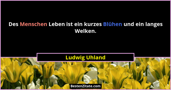Des Menschen Leben ist ein kurzes Blühen und ein langes Welken.... - Ludwig Uhland