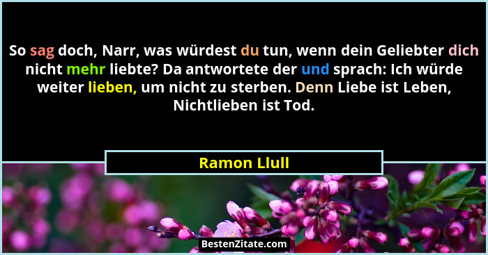 So sag doch, Narr, was würdest du tun, wenn dein Geliebter dich nicht mehr liebte? Da antwortete der und sprach: Ich würde weiter lieben... - Ramon Llull