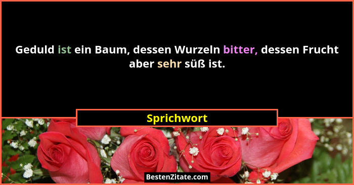 Geduld ist ein Baum, dessen Wurzeln bitter, dessen Frucht aber sehr süß ist.... - Sprichwort