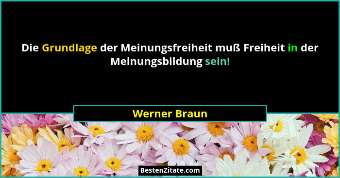Die Grundlage der Meinungsfreiheit muß Freiheit in der Meinungsbildung sein!... - Werner Braun