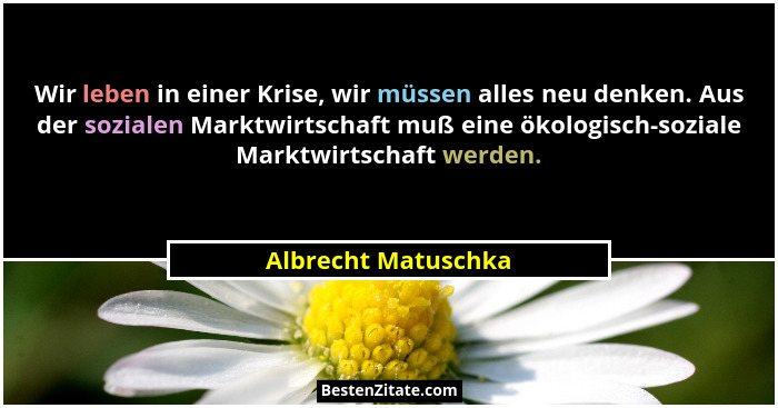 Wir leben in einer Krise, wir müssen alles neu denken. Aus der sozialen Marktwirtschaft muß eine ökologisch-soziale Marktwirtscha... - Albrecht Matuschka