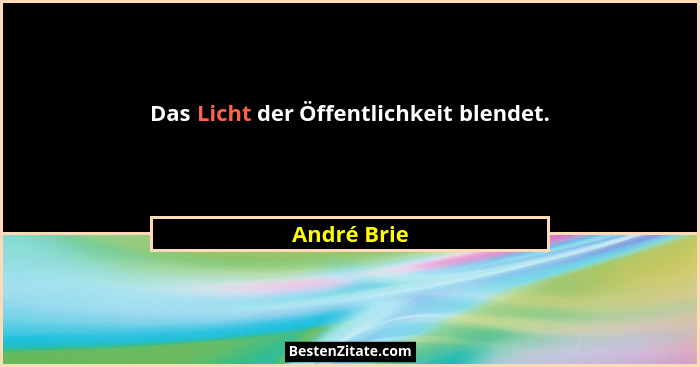 Das Licht der Öffentlichkeit blendet.... - André Brie