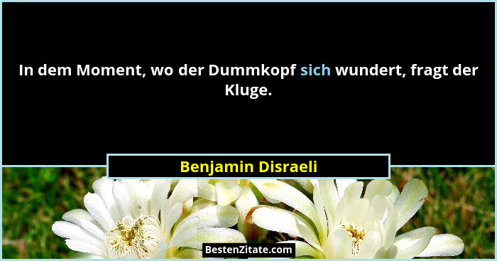 In dem Moment, wo der Dummkopf sich wundert, fragt der Kluge.... - Benjamin Disraeli