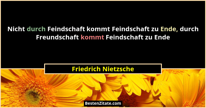Nicht durch Feindschaft kommt Feindschaft zu Ende, durch Freundschaft kommt Feindschaft zu Ende... - Friedrich Nietzsche