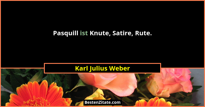 Pasquill ist Knute, Satire, Rute.... - Karl Julius Weber