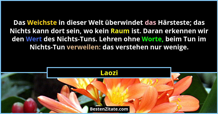Das Weichste in dieser Welt überwindet das Härsteste; das Nichts kann dort sein, wo kein Raum ist. Daran erkennen wir den Wert des Nichts-Tuns... - Laozi